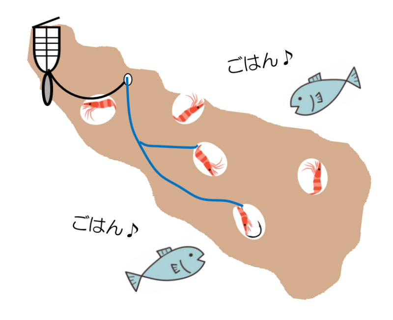 カゴ釣りと魚