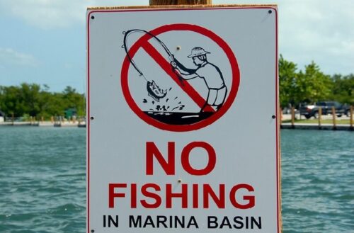 釣り禁止