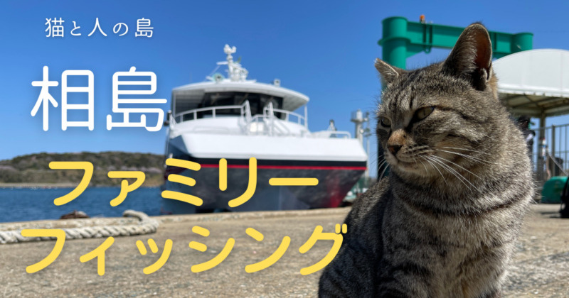 相島アイキャッチ