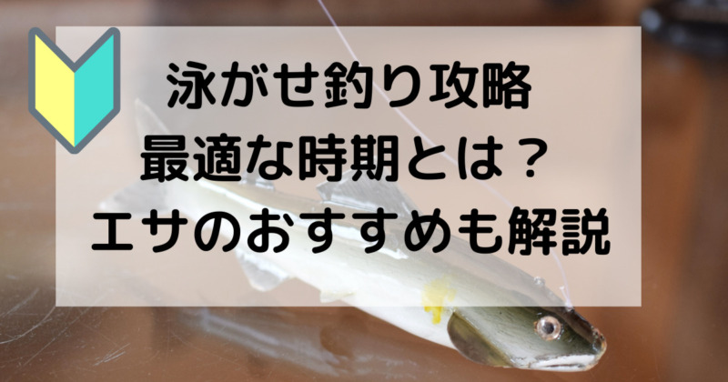 泳がせ釣り解説