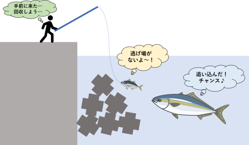 泳がせ釣り水中