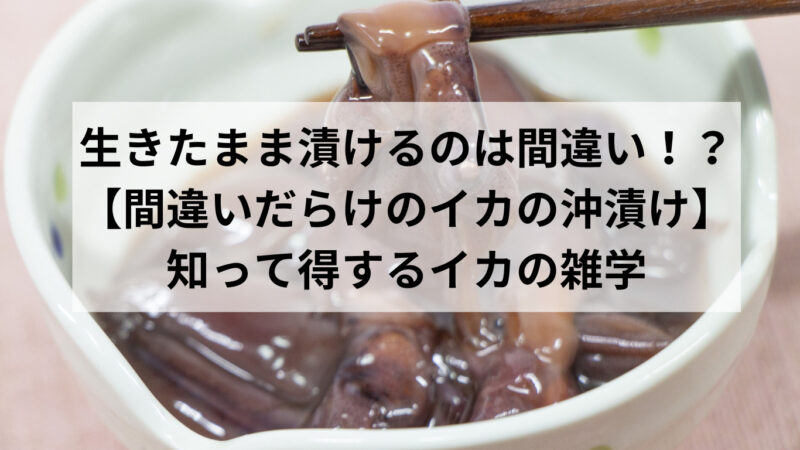 知って得するイカの雑学/生きたままの沖漬けは間違い