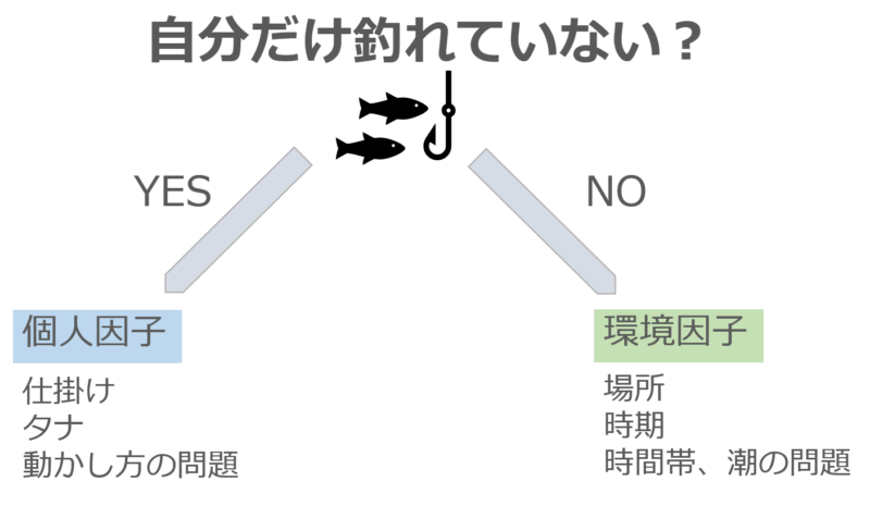 サビキが釣れない理由