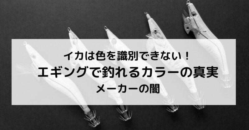 エギングカラーの秘密