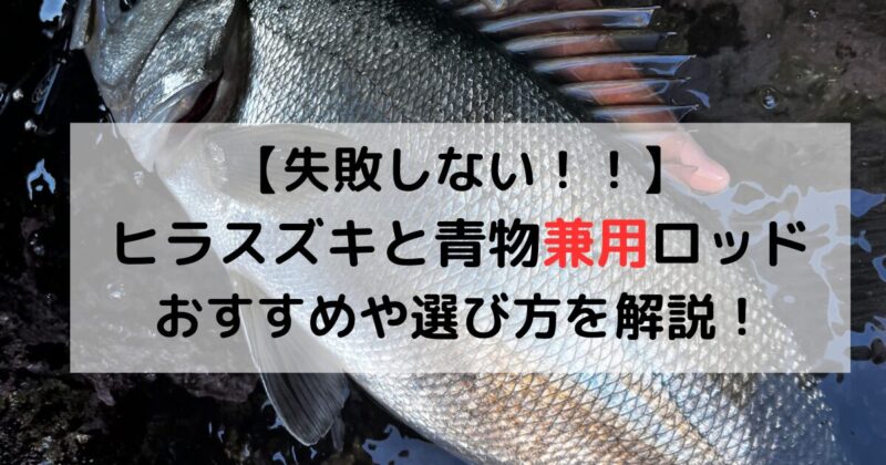 ヒラスズキと青物兼用ロッドのおすすめ