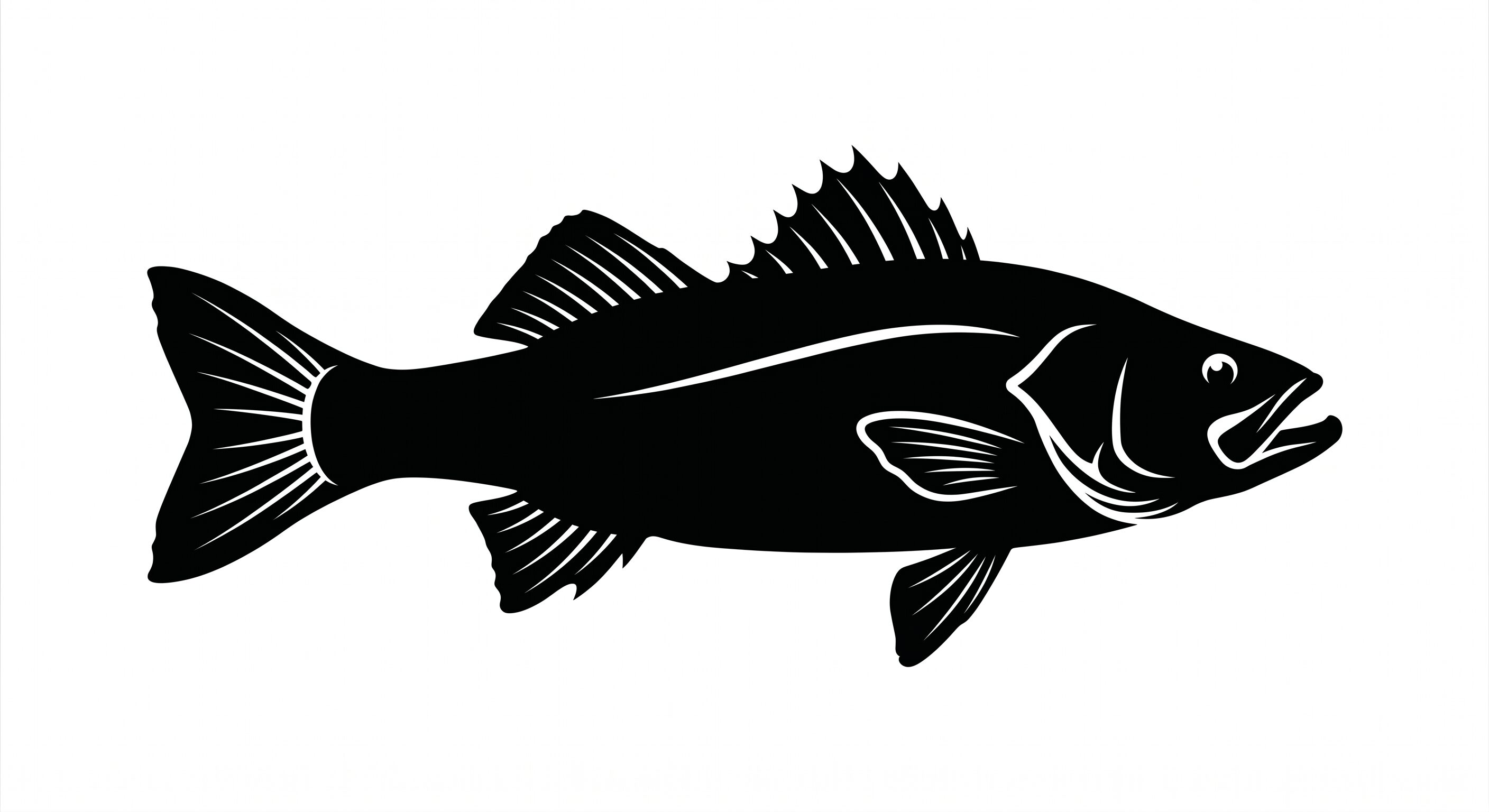 seabass